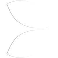 winmatch365 login, winmatch365